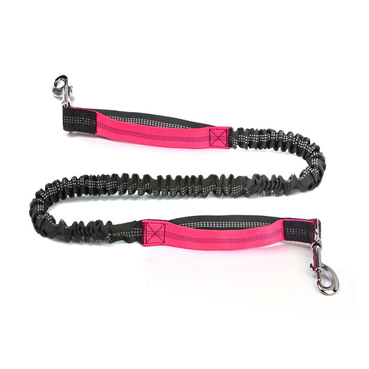 Trail Buddy Pet Waist Pack & Leash